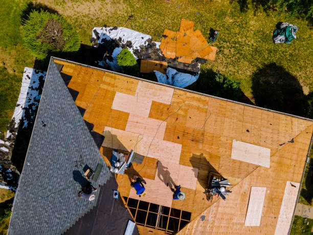 Best Roofing Contractors for Homes  in Pebble Creek, FL