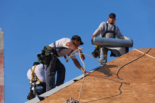 Best Metal Roofing Contractor  in Pebble Creek, FL