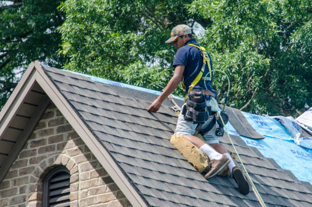 Best Shingle Roofing Installation  in Pebble Creek, FL